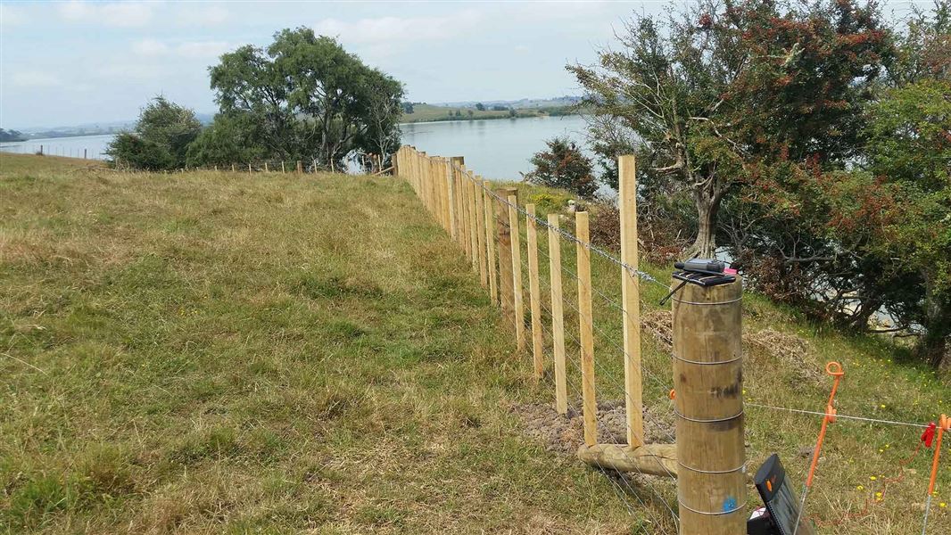 Fencing around Lake Whangape. 