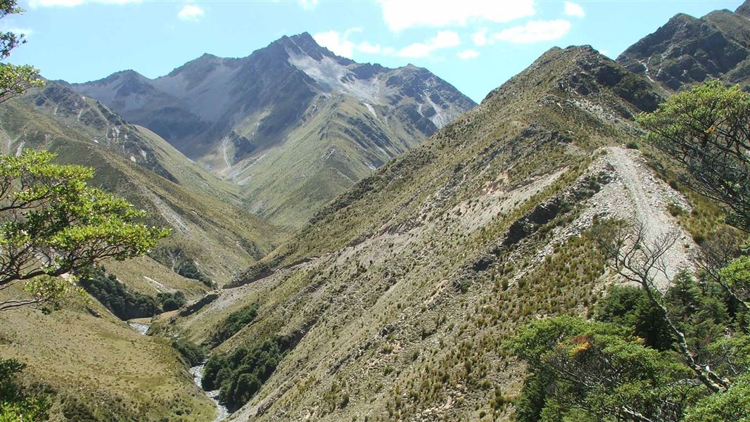 Mountains from Timaru River Track. 