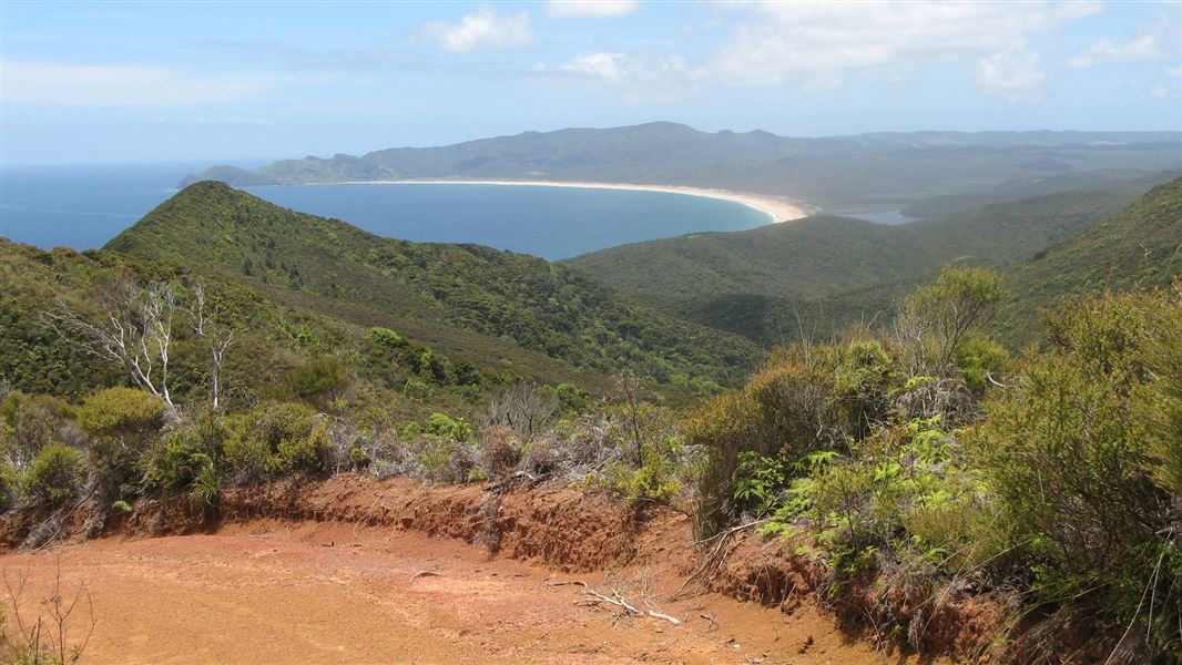 View of bay from track. 