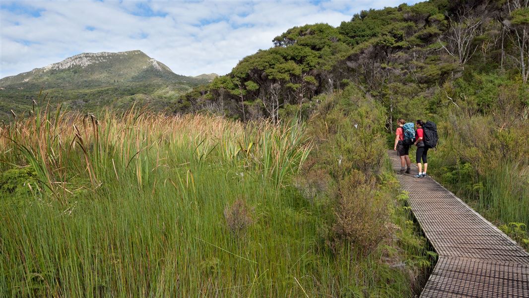 Boardwalk Kaitoke Hot Springs Track. 