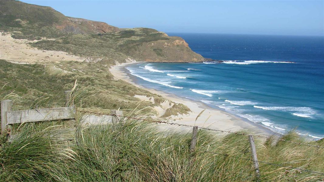 Sandfly Bay. 