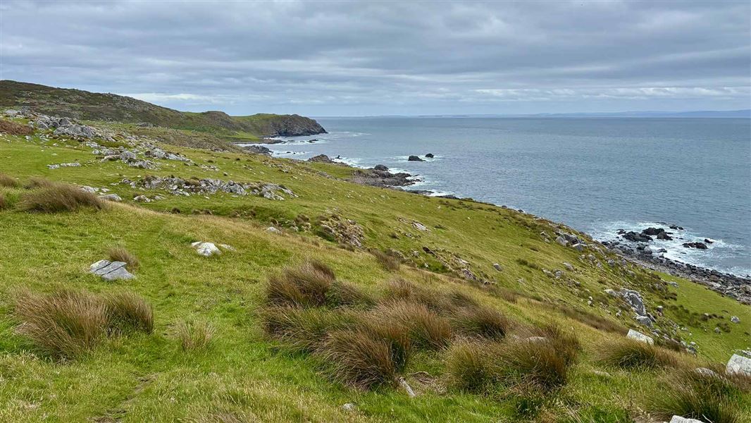 Ocean Beach Track: Bluff, Murihiku