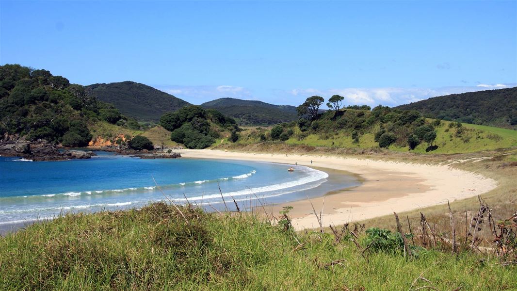 Matai Bay. 