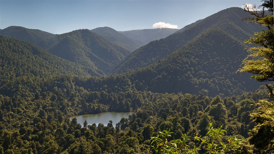 The surrounding basin at Lake Colenso. 