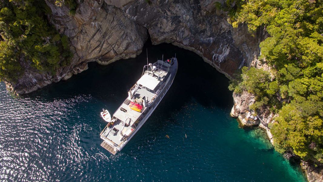 Pure Salt charter boat in Fiordland.