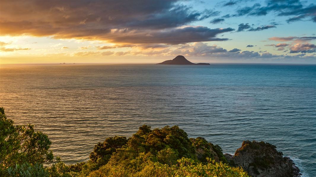 Kōhī Point overlook. 