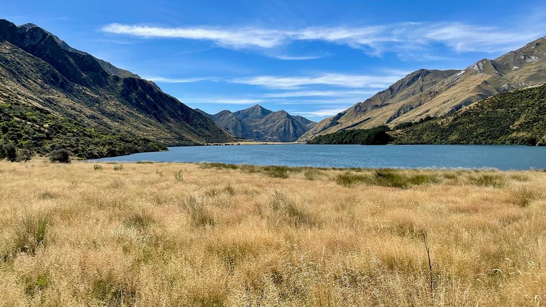 View from the Moke Lake Loop Track