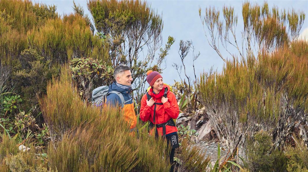 A man and a woman sitting to look out from the brush atop a hill.