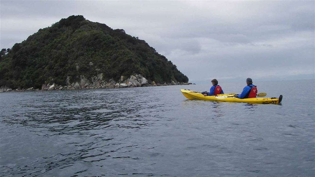 Kayakers approach a large tree covered island.