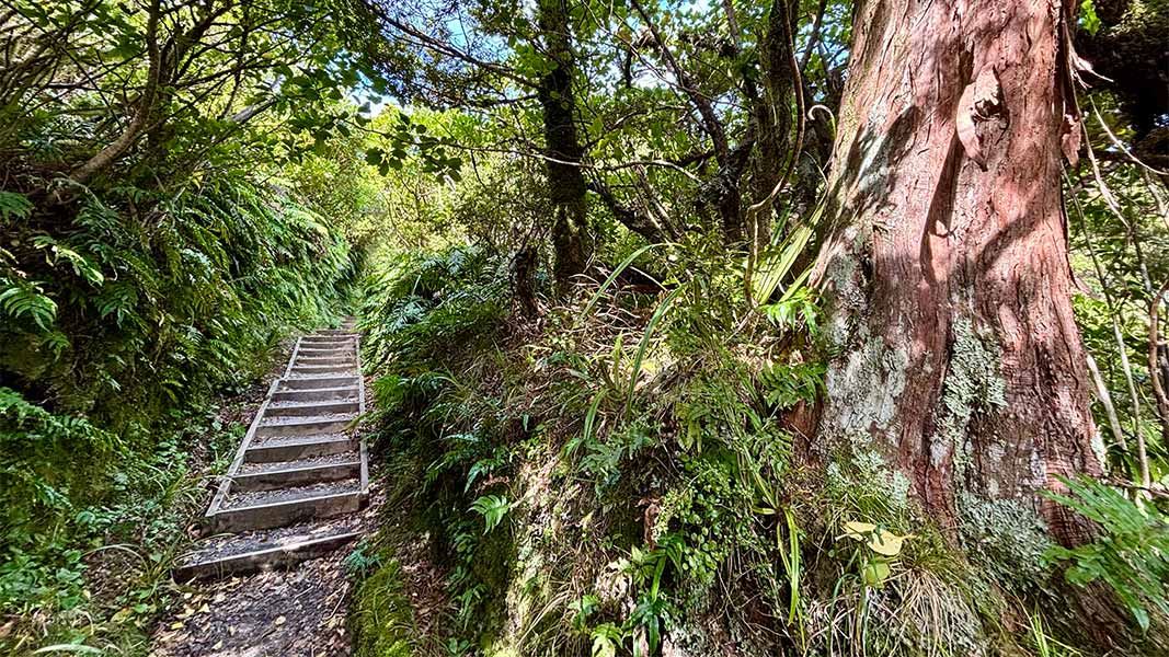 Veronica Loop Track. 