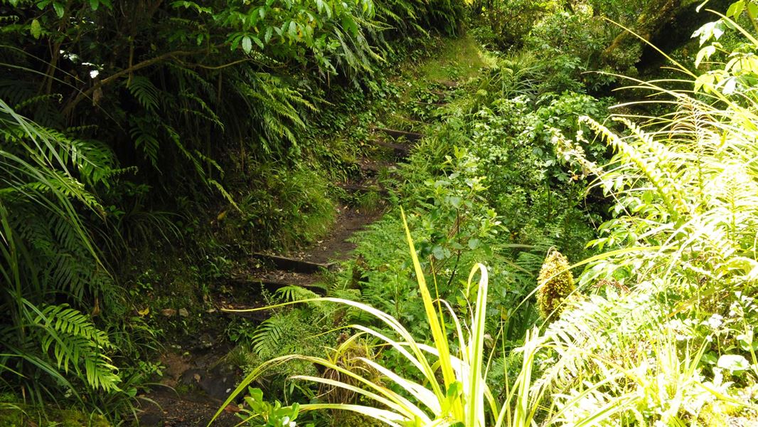 Veronica Loop Track. 