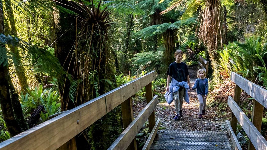 Two children approaching a bridge on the walking track.