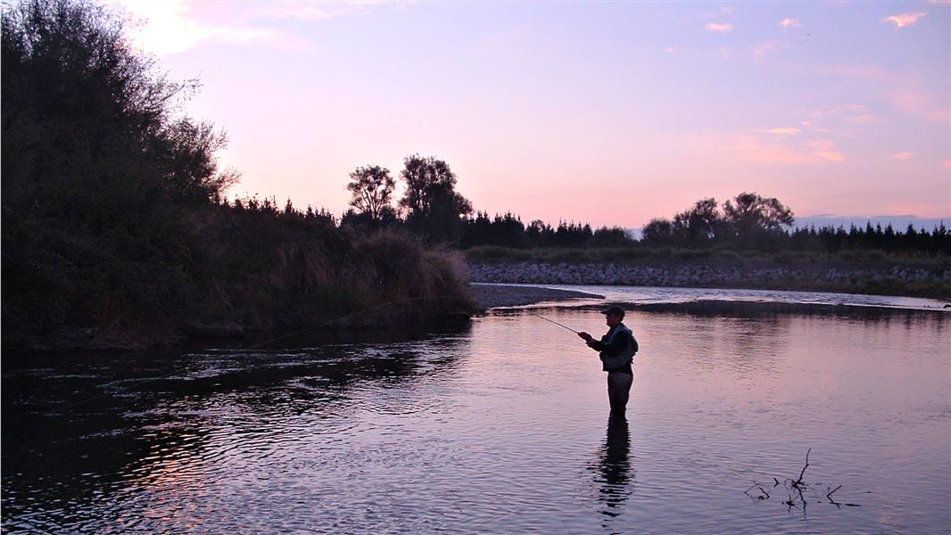 Fisher at sunset. 