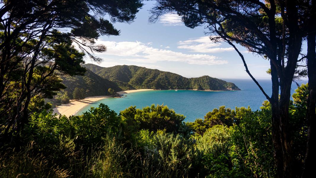 Mutton Cove Campsite Abel Tasmen.