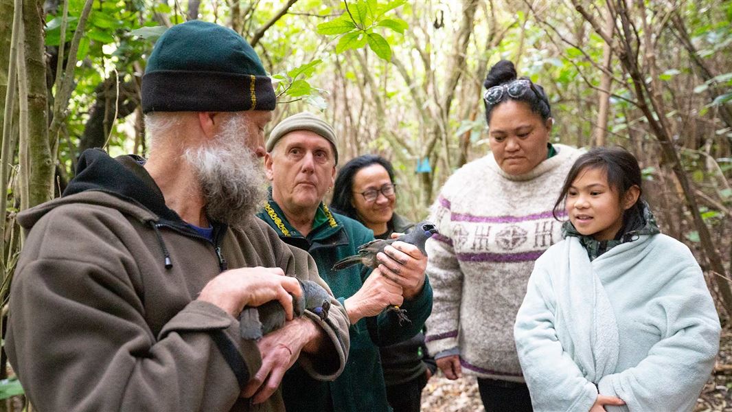 Five people stand in forest, two of them hold kōkako birds.