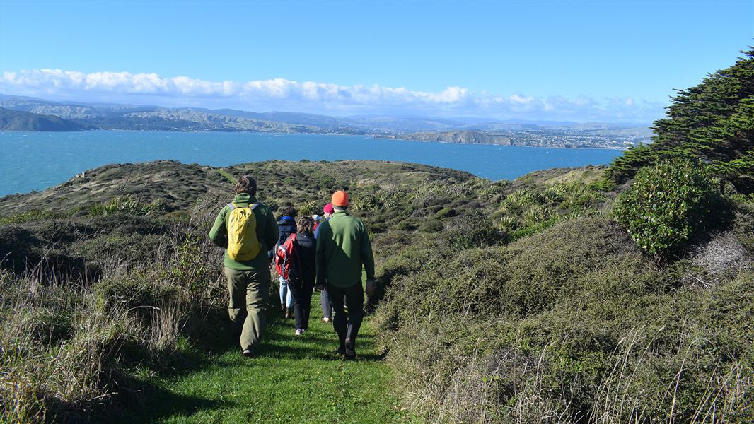 People walking on hill with view of sea.