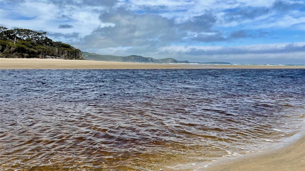 View over the Tahakopa River to the coast.