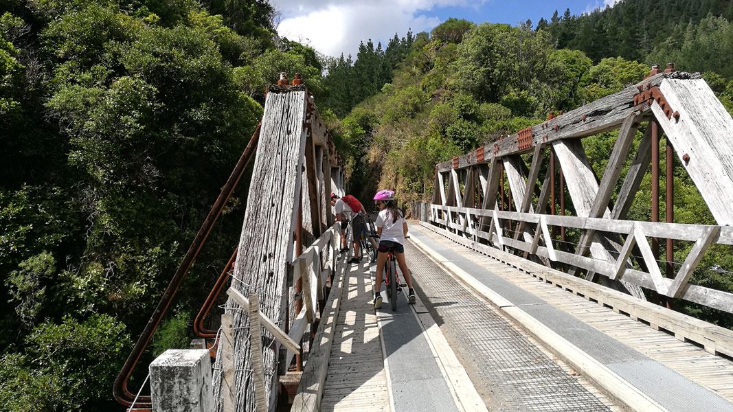 Cyclists looking down from the Truss Bridge