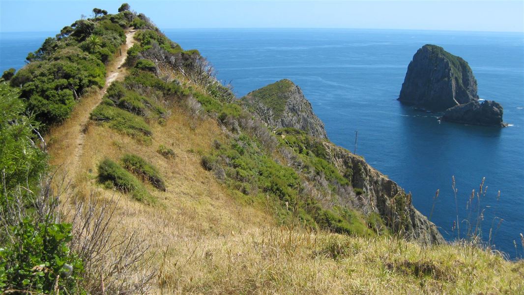 Cape Brett Track. 