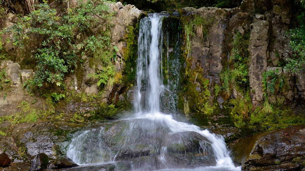 Waiau Falls. 