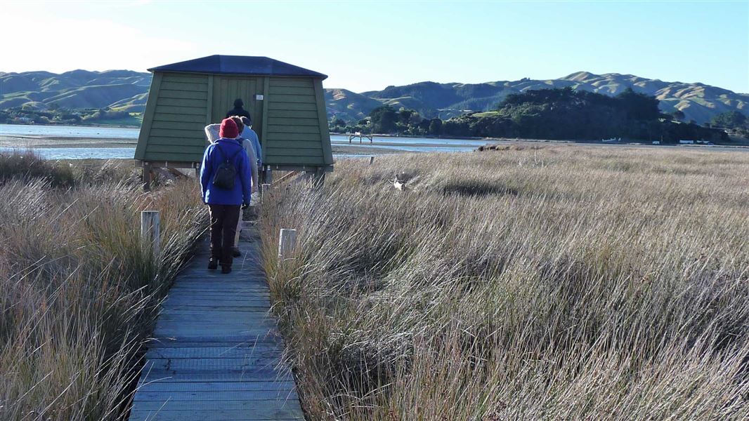 People walking on wooden track in Pauatahanui Inlet. 