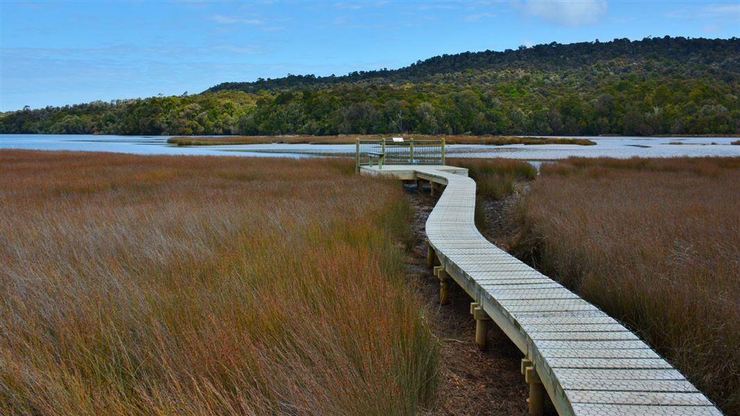 Tautuku Estuary Boardwalk.