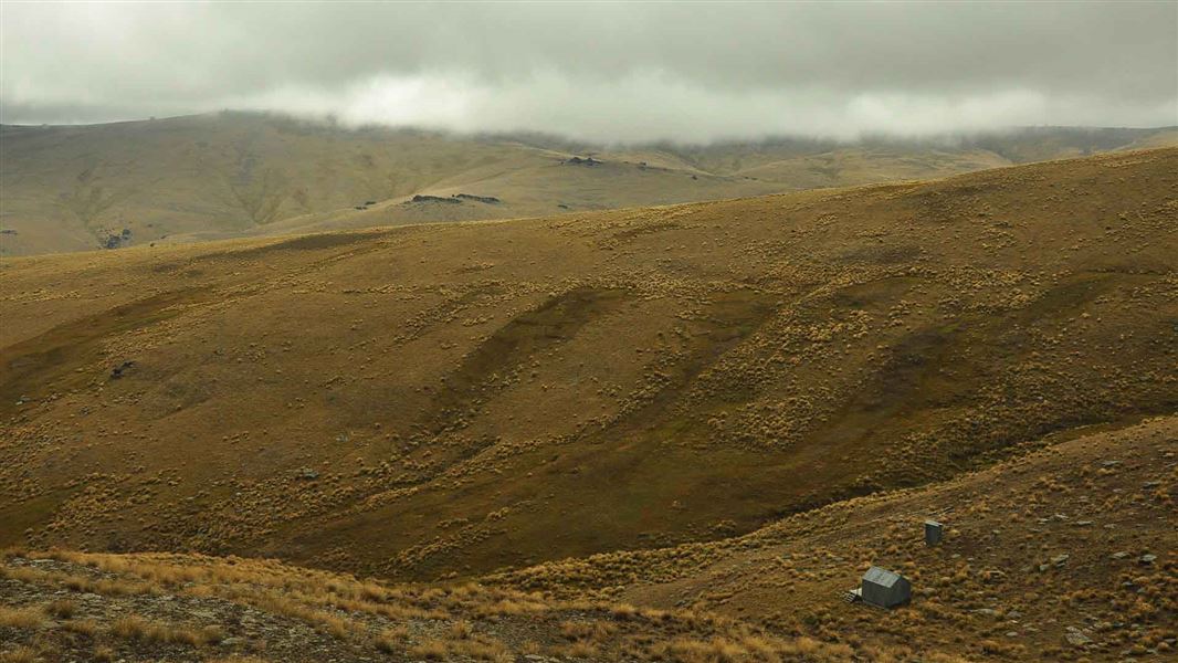 View from ontop of a ridgeline looking down at a shallow valley. The valley and ridges are covered in intermittent clumps of tussock. A small green hut can be seen at the start of the valley.