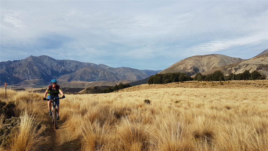 Craigieburn Forest Park.