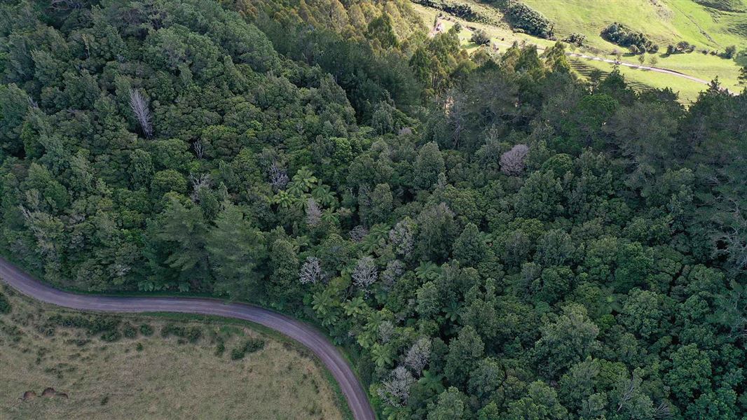 Heritage pā site in Te Puke. 