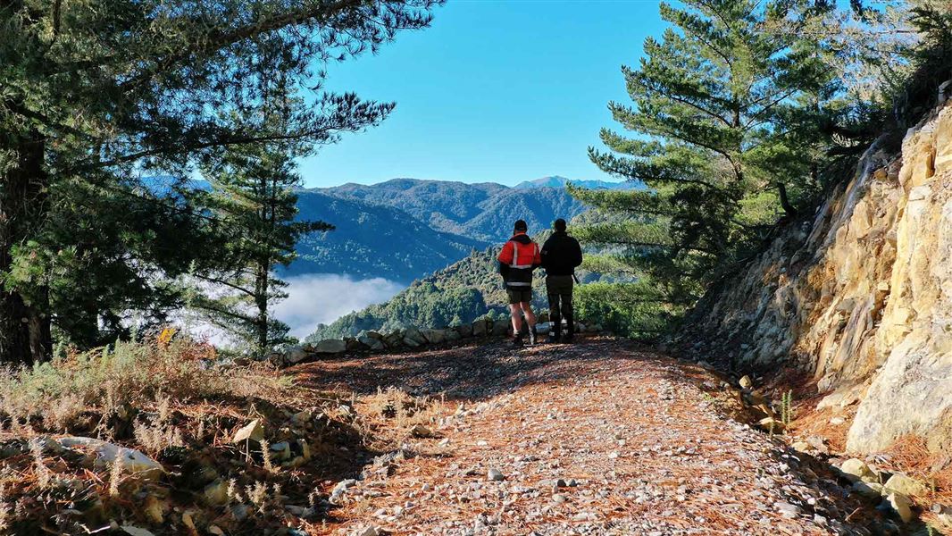 Globe Hill Track with two people on the track admiring the view. 