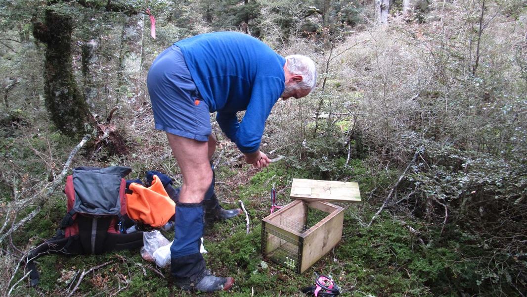 Peter Dilks sets up a monitoring station in the Blue Mountains. 