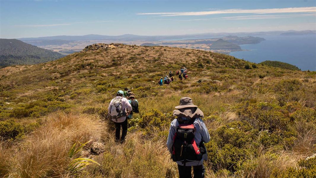 Those willing to slog it up the hill are rewarded with incredible views over Lake Taupō from Mount Tihia