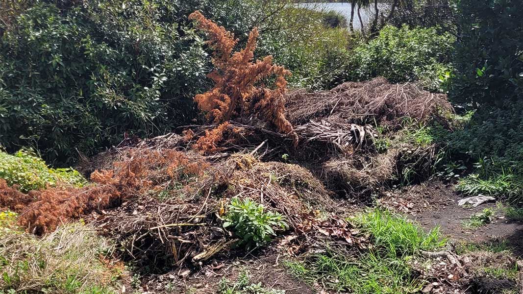 Green waste dumped at Lake Waiau