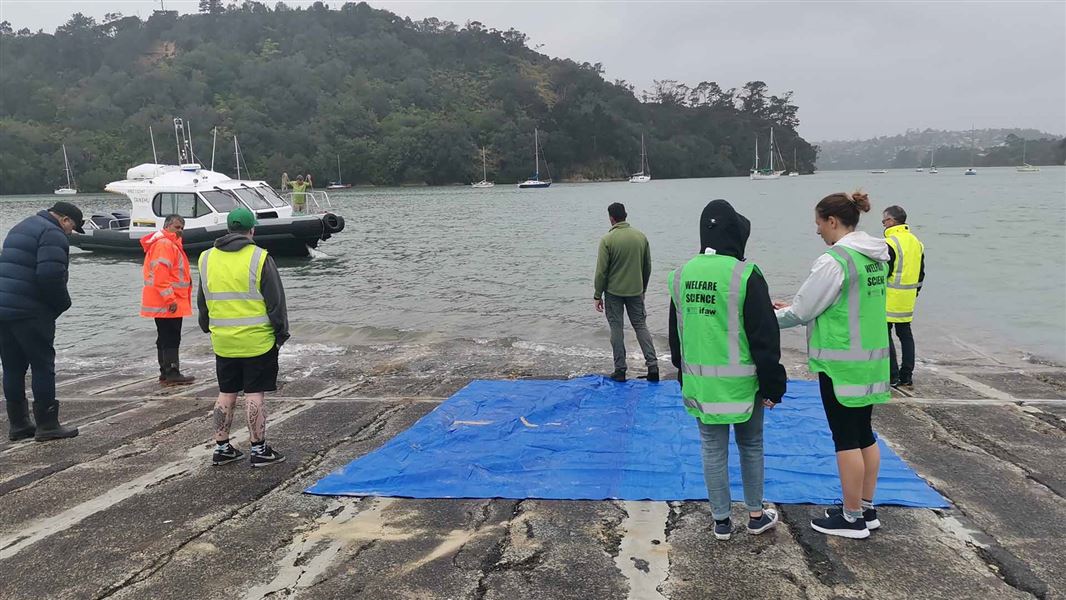 A group of people on a boat ramp wait