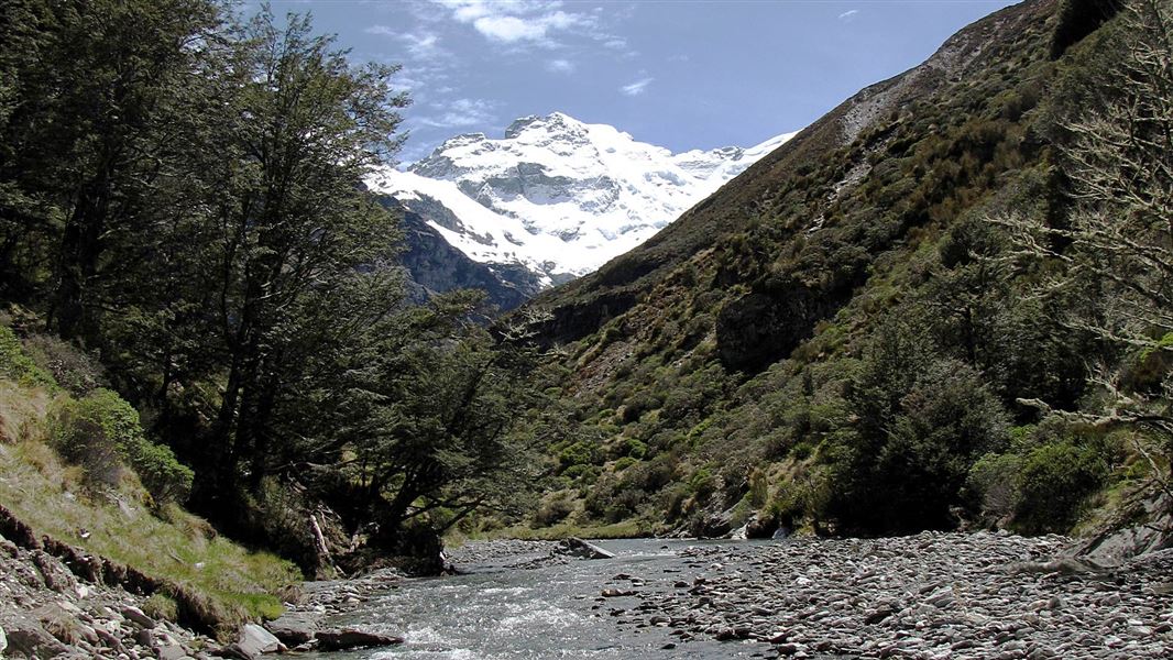 View up the Earnslaw Burn Track.