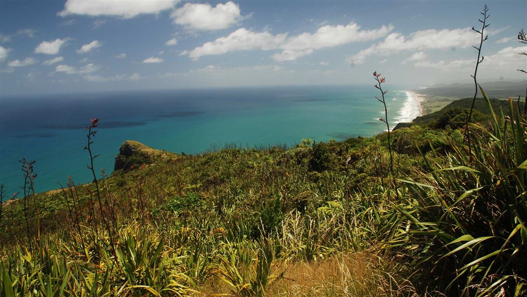 Maunganui Bluff. 