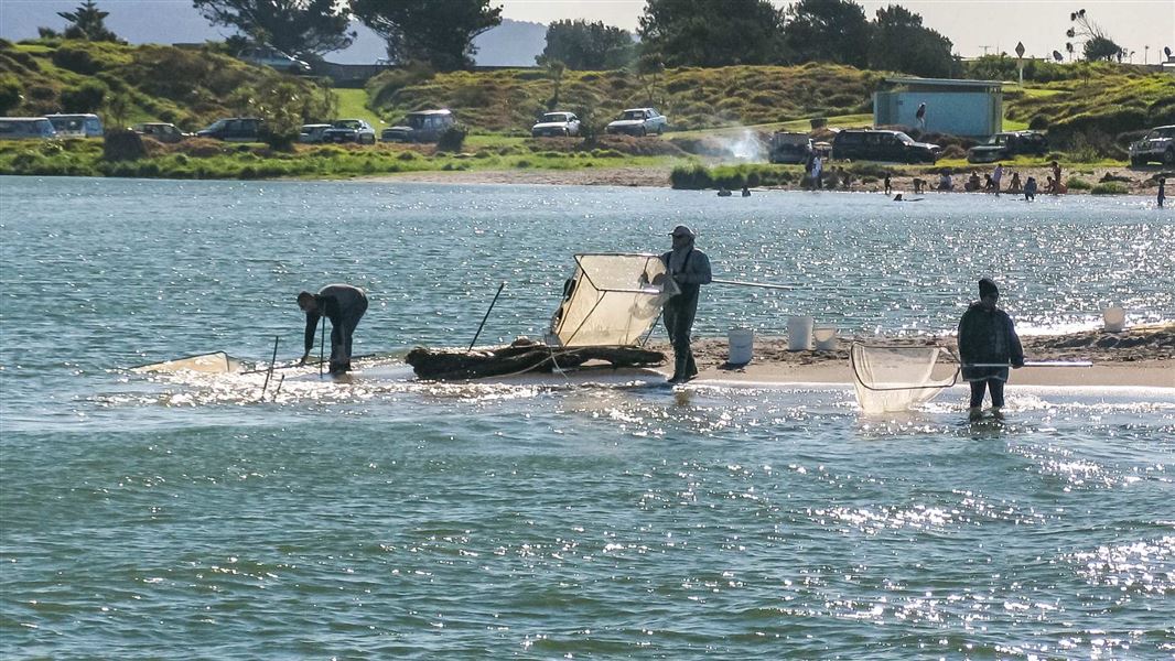 Three men fishing with large nets off a peninsula