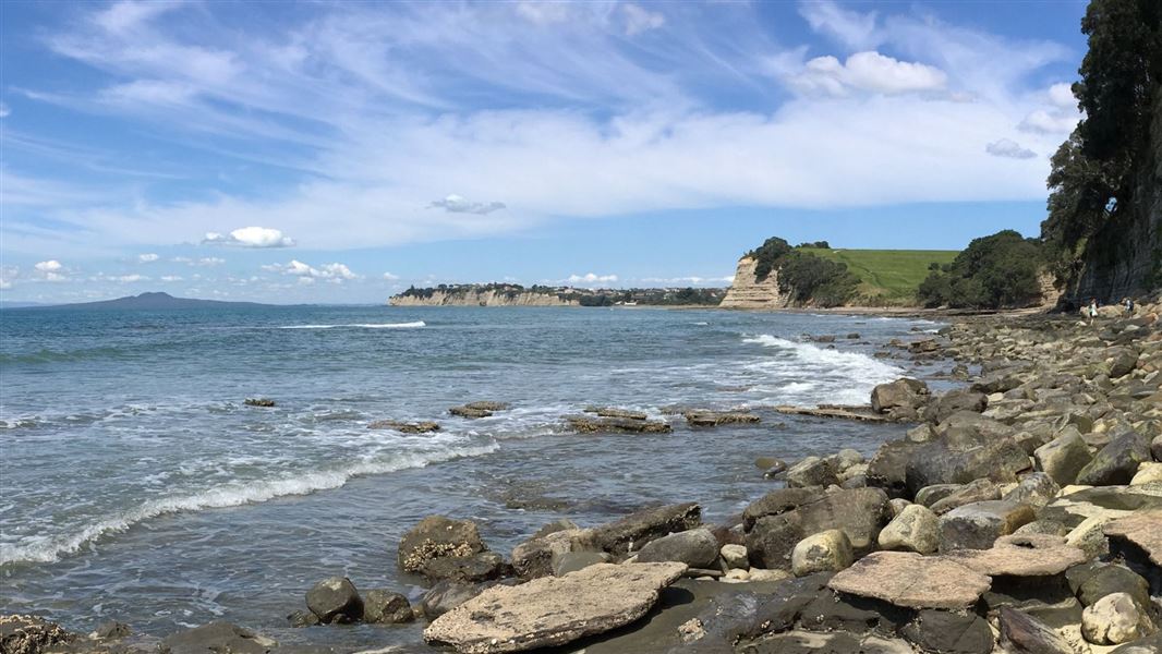 A picture of a coastline and several cliffs