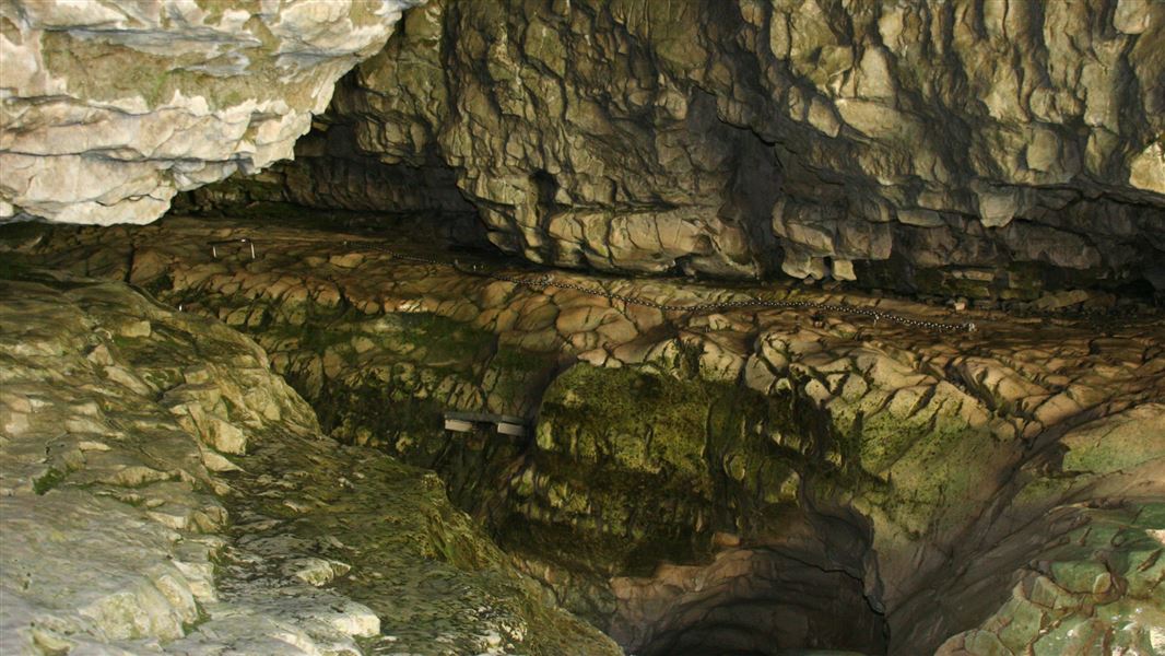 Cave Stream Scenic Reserve.