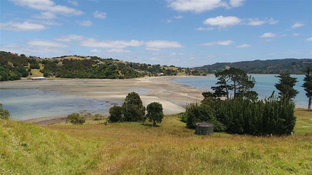 Motukiore Island Walk. 