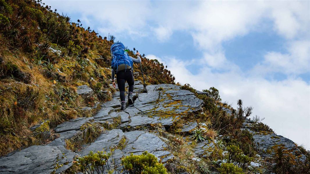 A hiker with a large tramping pack and a walking pole is walking up a steep series of rock slabs. The slabs are bordered by low alpine scrub with some small patches of snow, and a steep drop-off on one side. 