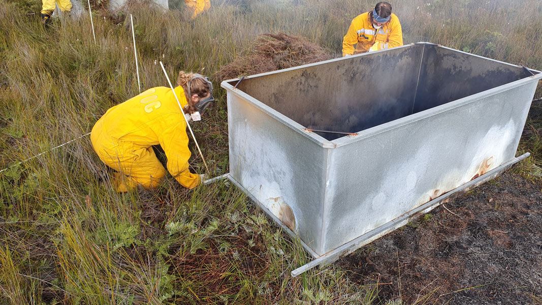 Controlled burning of vegetation. 