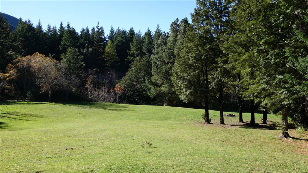 Wooded Gully Campsite.