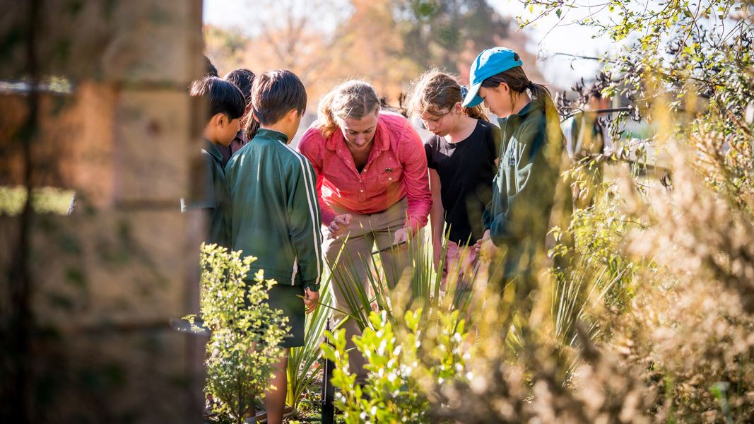 Teacher with students outside in  nature. 