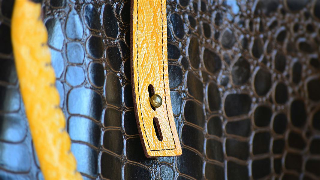 Close up of crocodile leather.