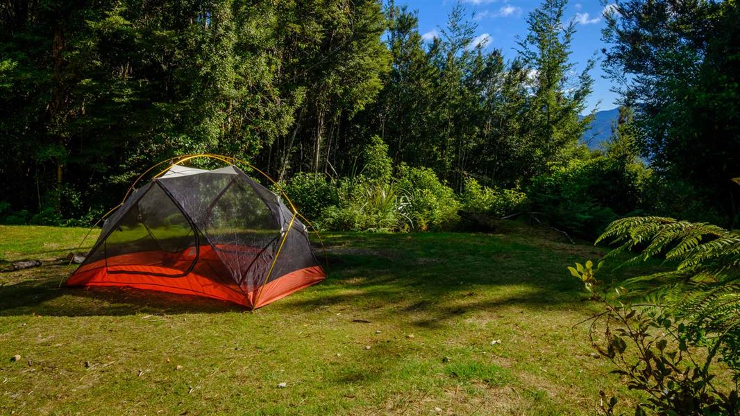 Aorere Shelter campsite. 