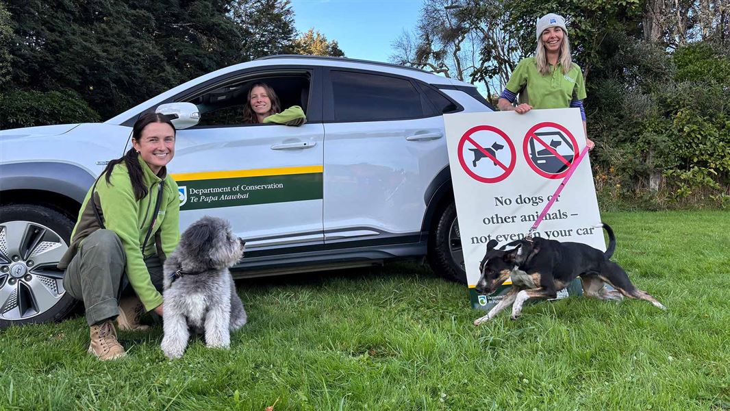 DOC Tongariro rangers and their dogs show off one of the large new signs placed at three main entrances to the park, to ensure all visitors know the rules. 