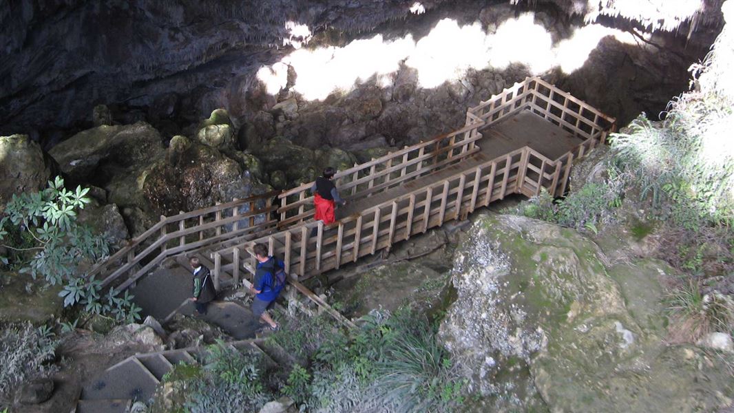 Rawhiti Cave viewing platform. 