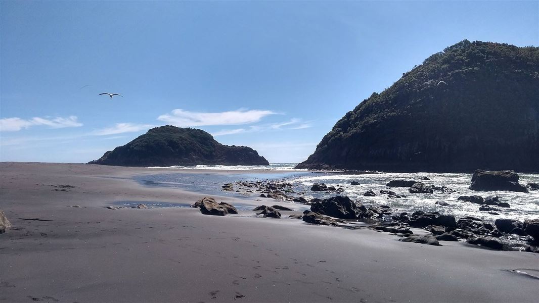 Ngā Motu/Sugar Loaf Islands Marine Protected Area: Places To Go In Taranaki