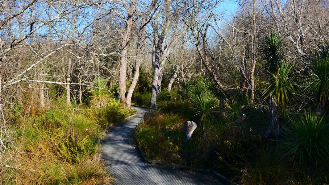 Ōruapaeroa/Travis Wetland track path
